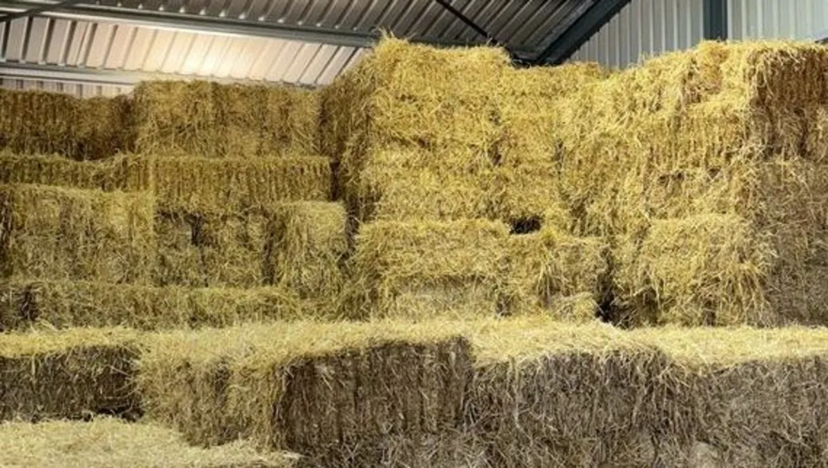 Square Bales of Hay