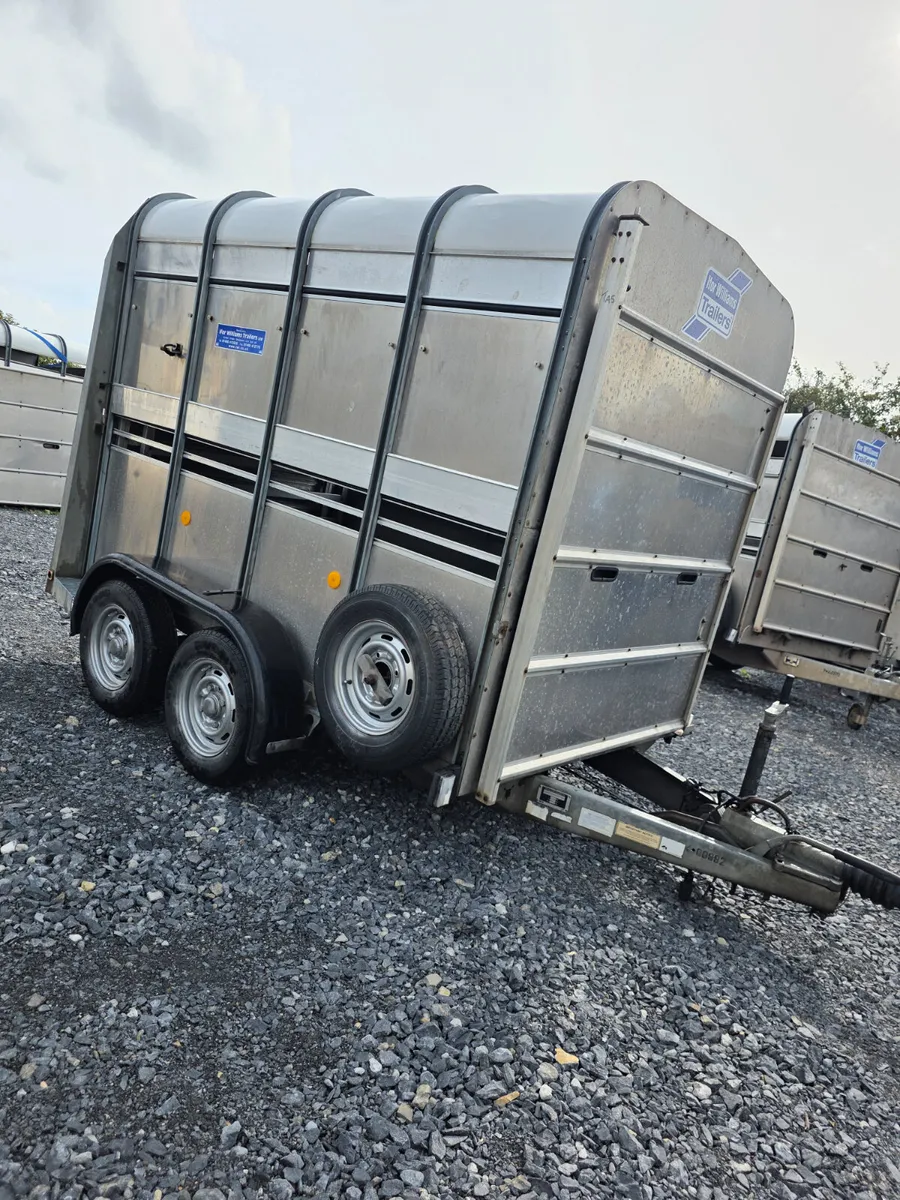 8ft iforwilliams with sheep decks - Image 1