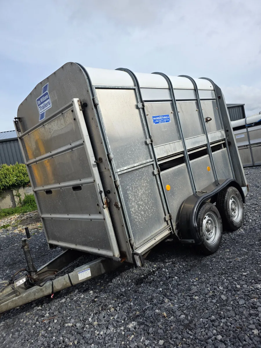 8ft iforwilliams with sheep decks - Image 2