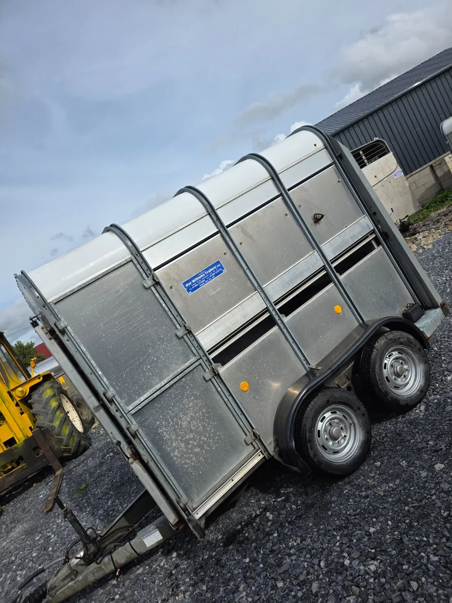 8ft iforwilliams with sheep decks - Image 3