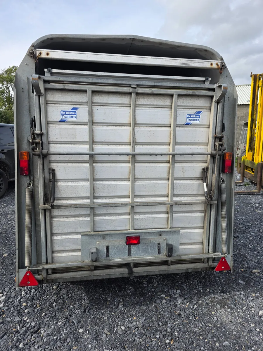 8ft iforwilliams with sheep decks - Image 4
