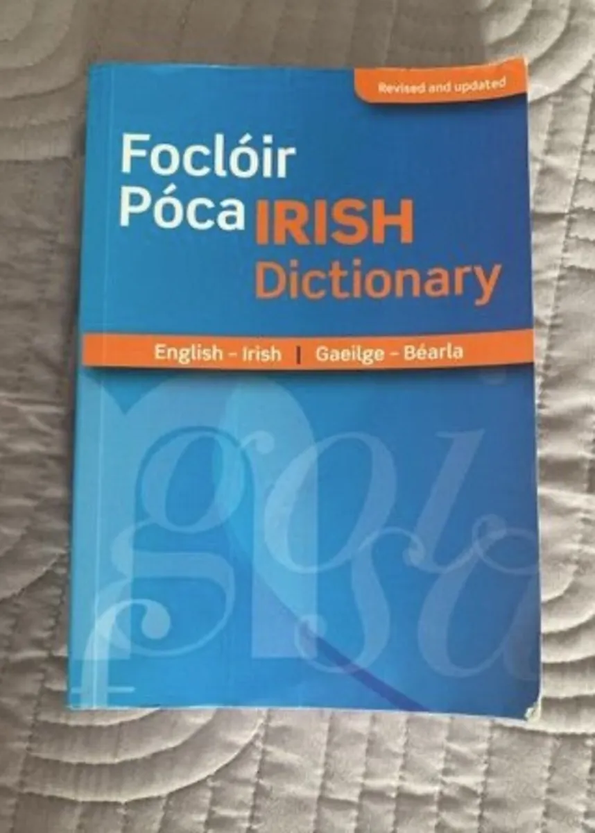 Focloir Poca/Pocket Dictionary Irish-English - Image 1
