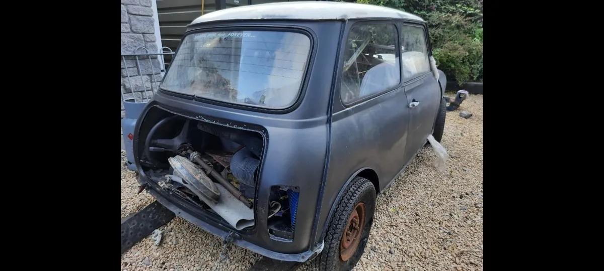 Austin/Leyland Mini 1983 and Rover Mini 1991 - Image 3