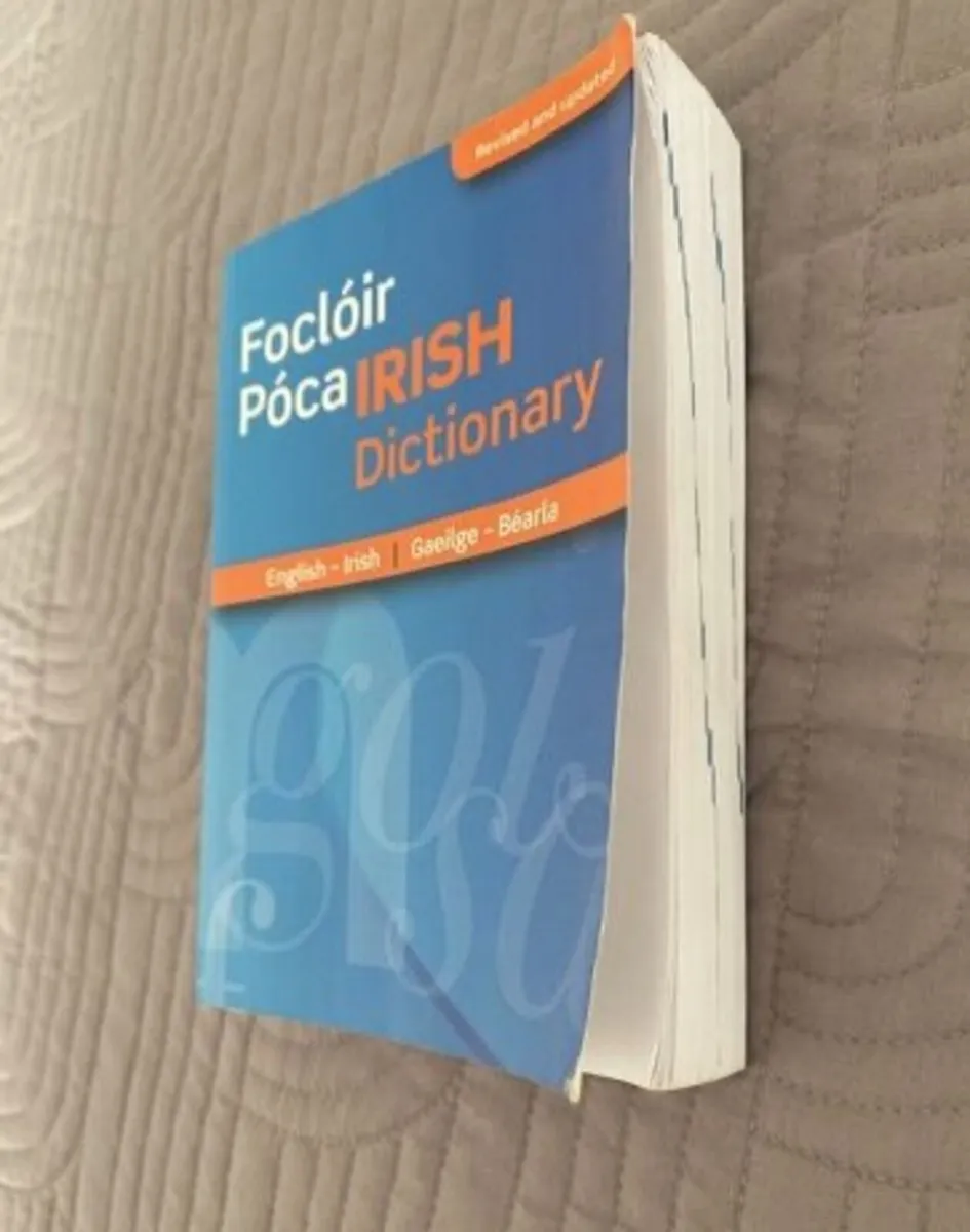 Focloir Poca/Pocket Dictionary Irish-English - Image 2