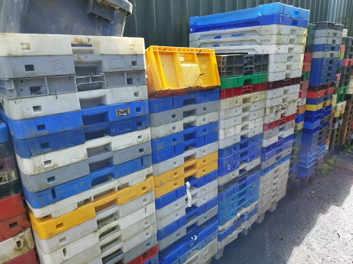 Wooden pallets & fish boxes - Image 1