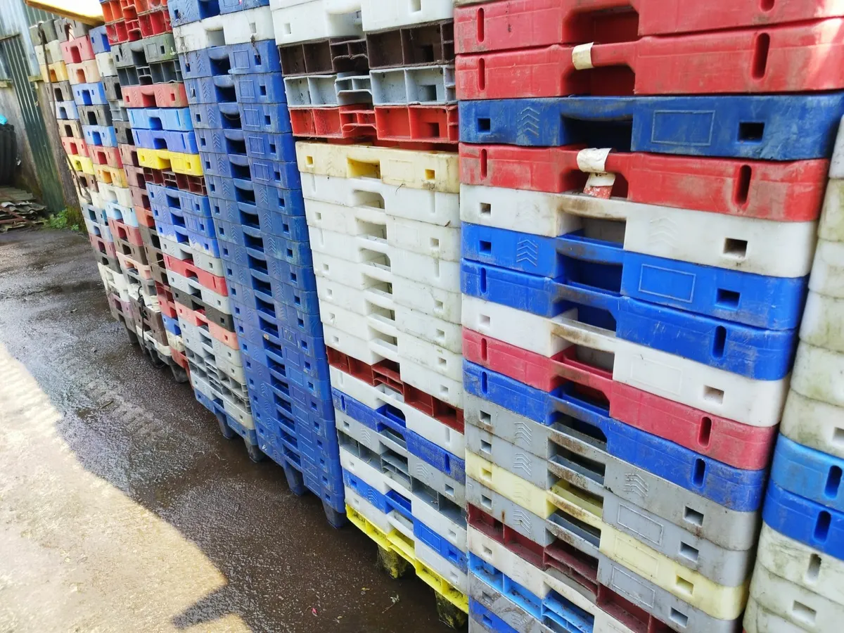 Wooden pallets & fish boxes - Image 2