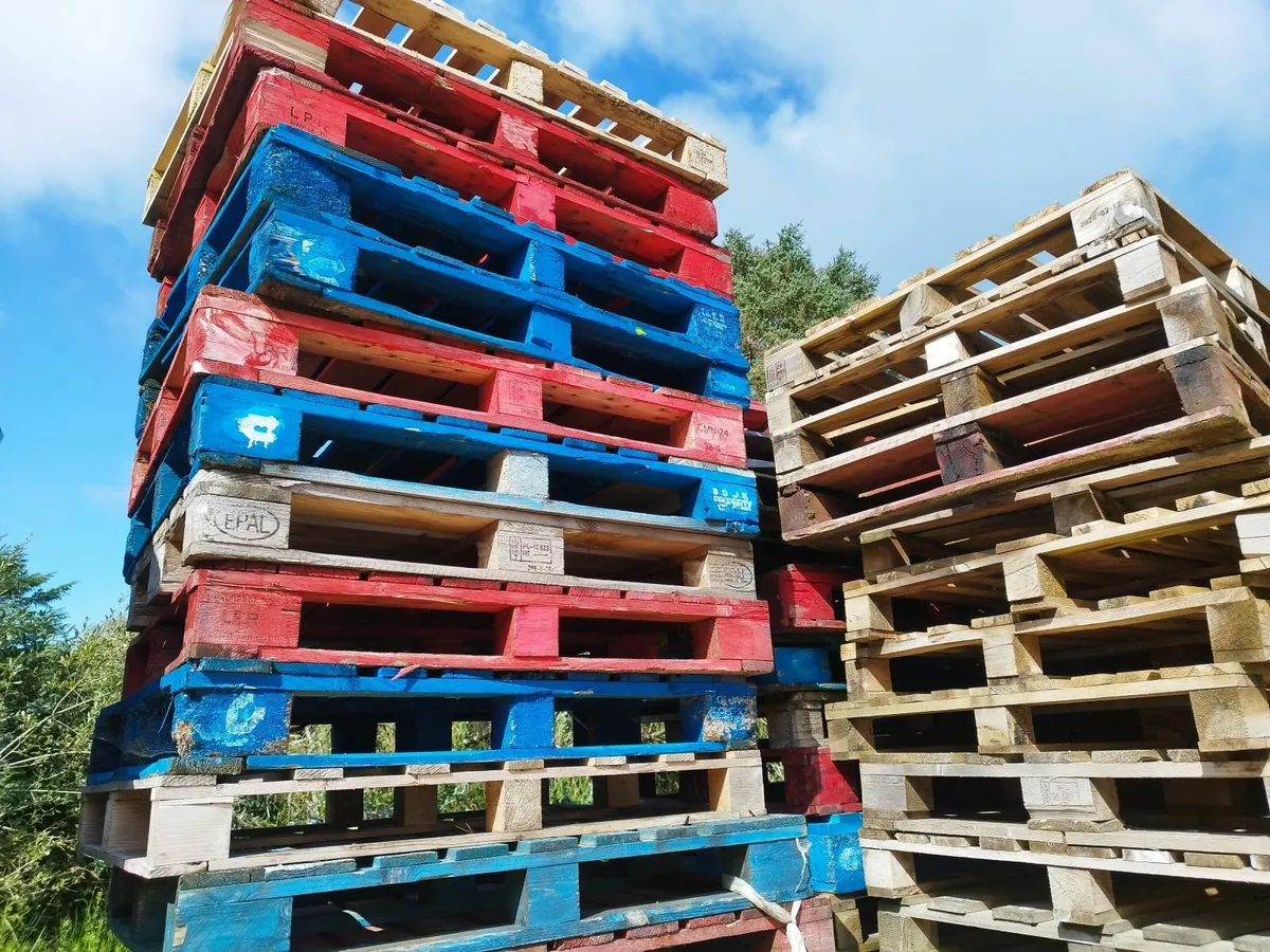 Wooden pallets & fish boxes - Image 3