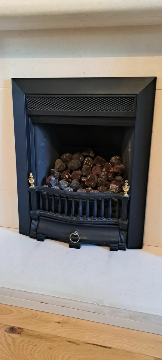 The Gas Fire Insert - Image 1