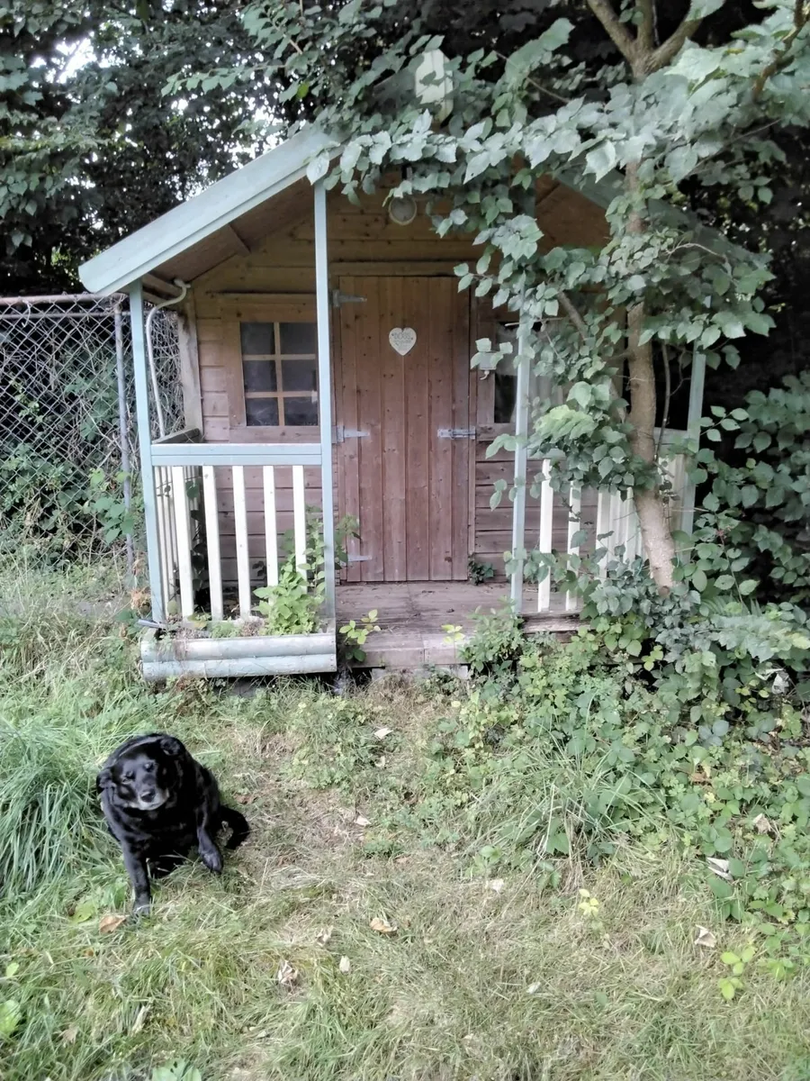 Garden Shed with Veranda & dog run - Image 1