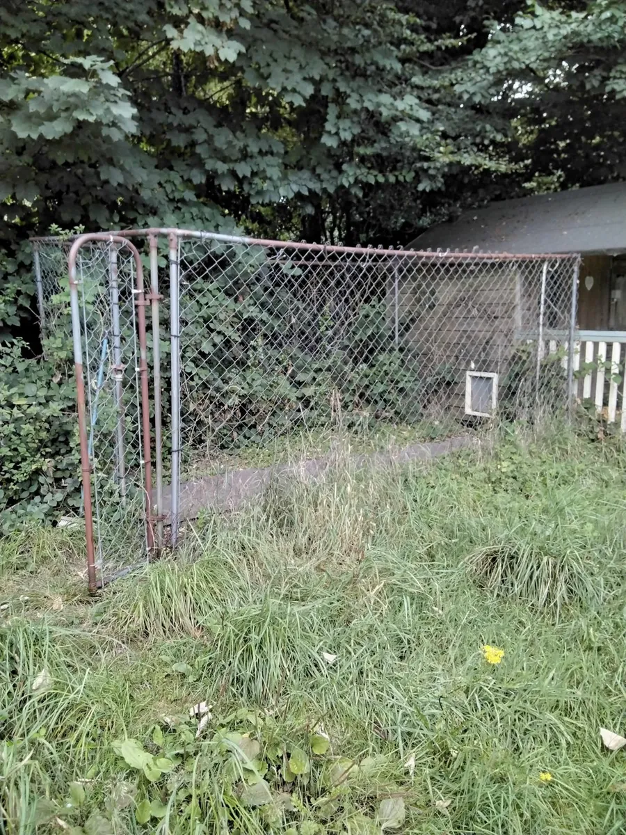 Garden Shed with Veranda & dog run - Image 3