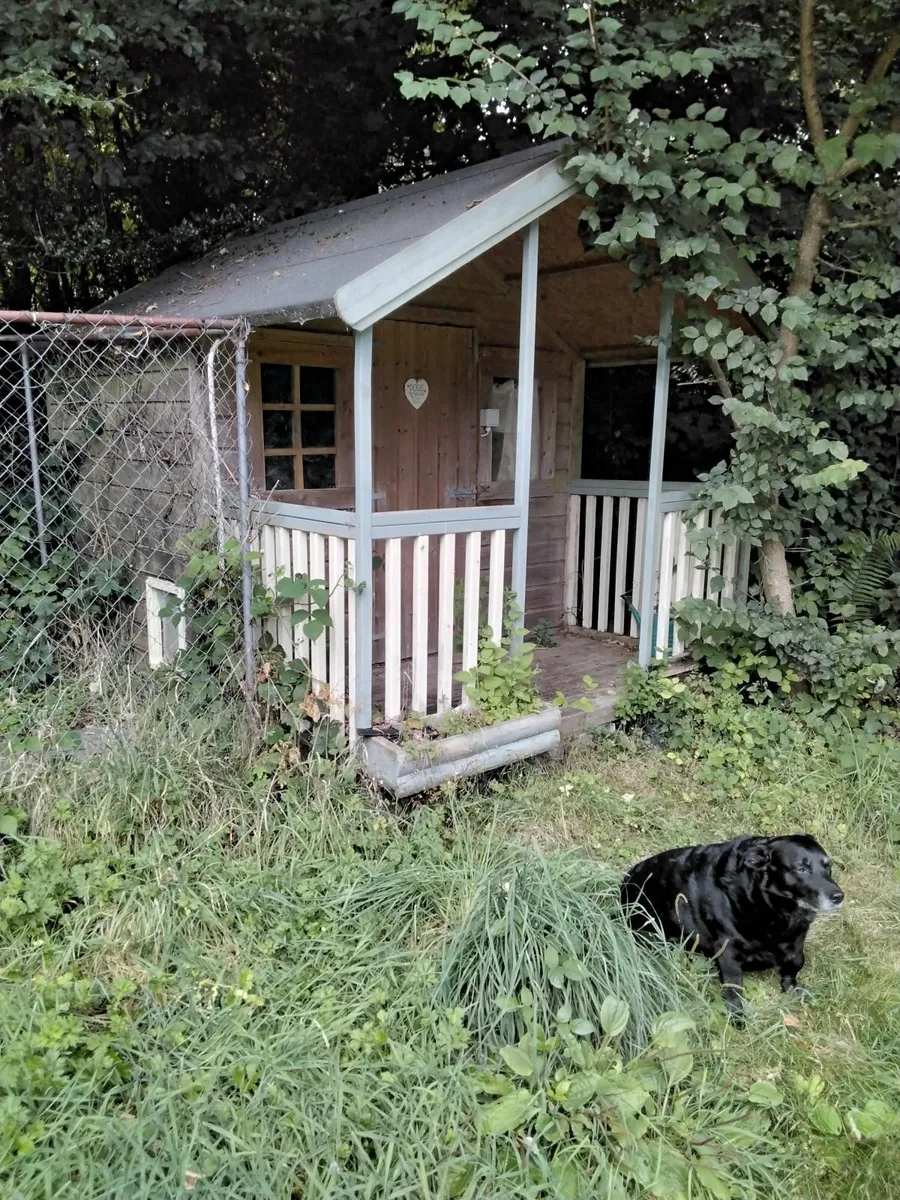 Garden Shed with Veranda & dog run - Image 4