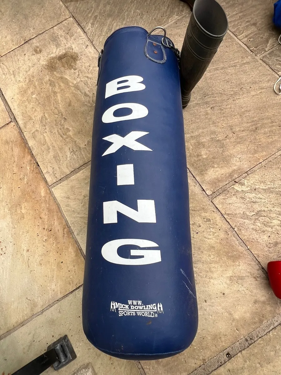 Boxing bag gloves and pads - Image 1