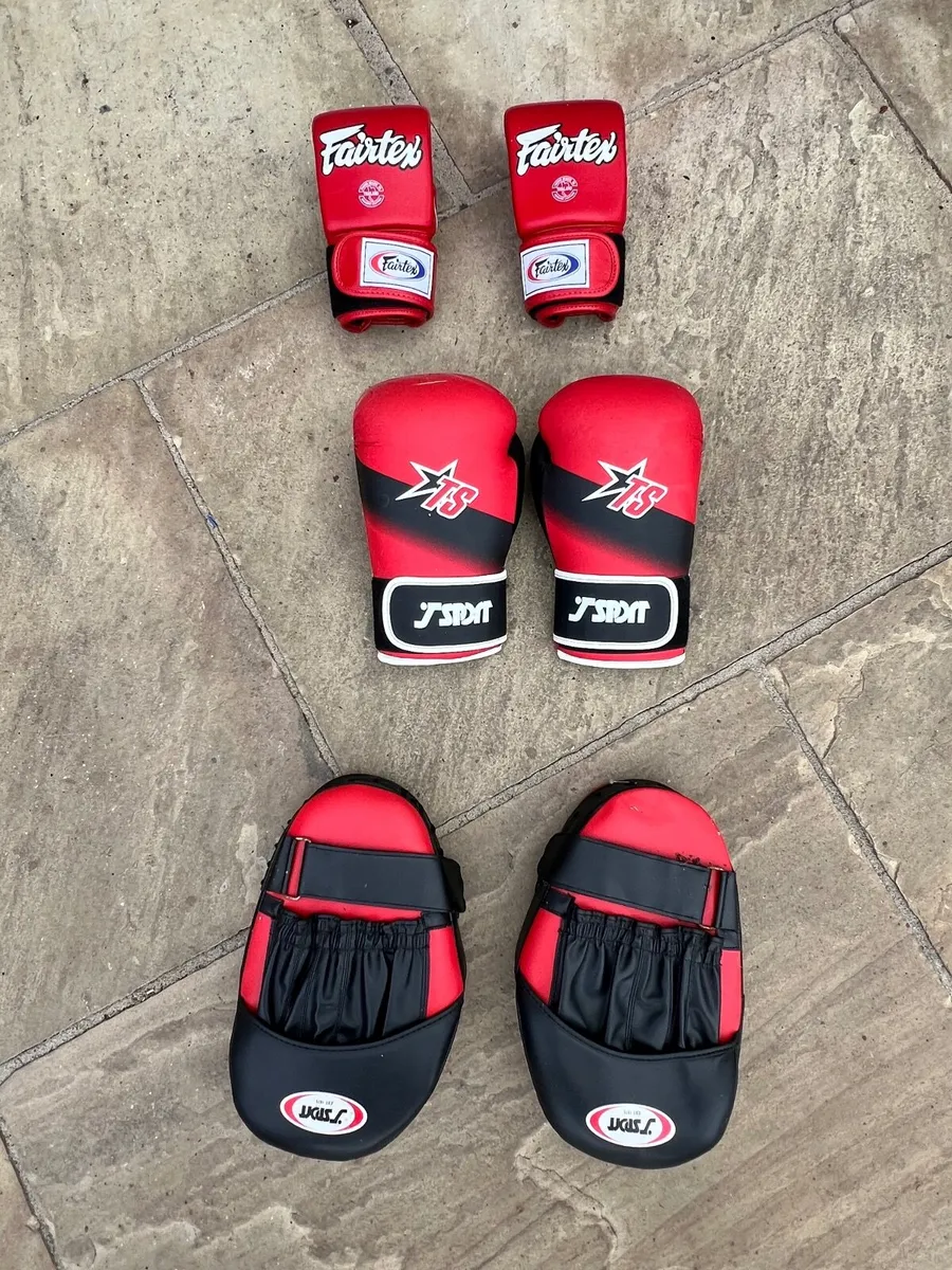 Boxing bag gloves and pads - Image 2