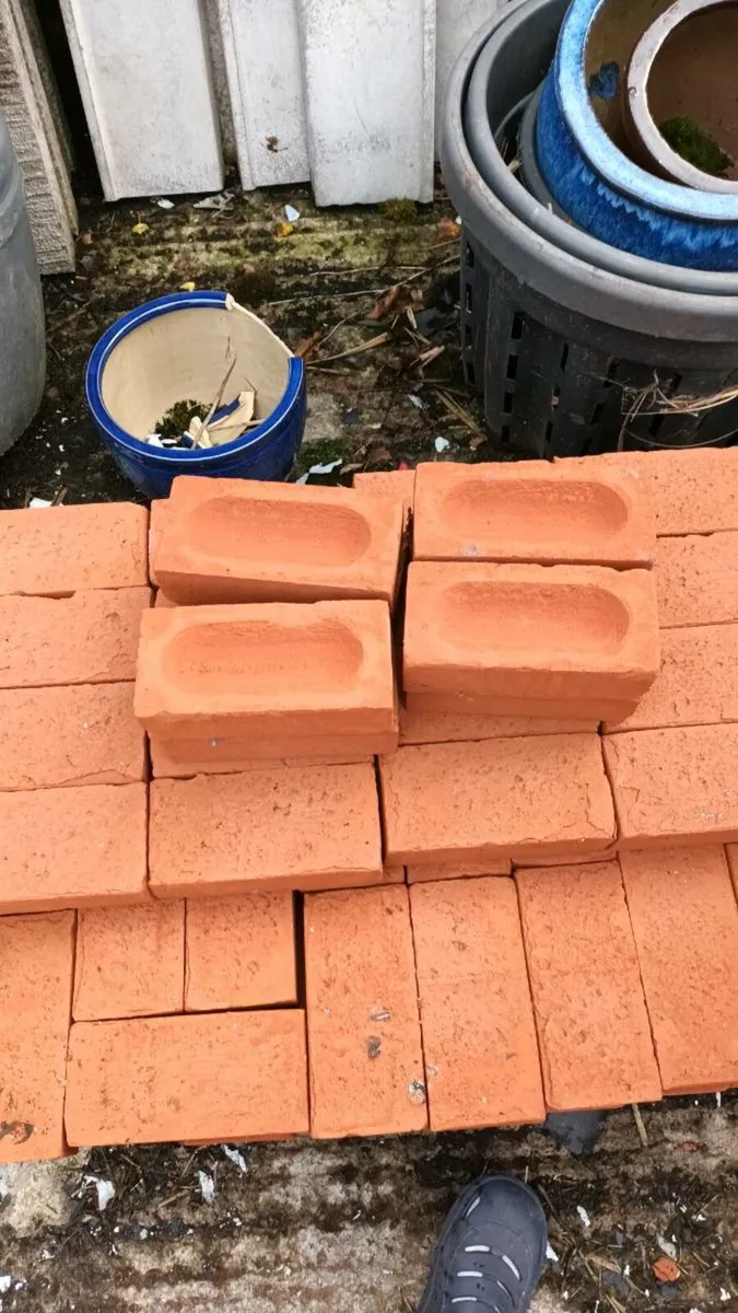 Red Bricks - Image 3