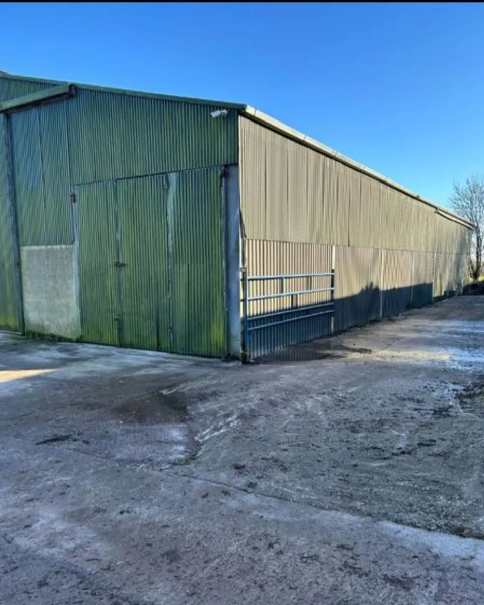 For Rent - Shed complex with accommodation/office - Image 2