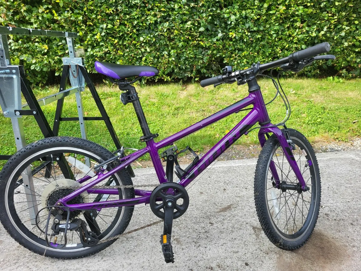 Giant ARX 20 Kids Bike - Image 2