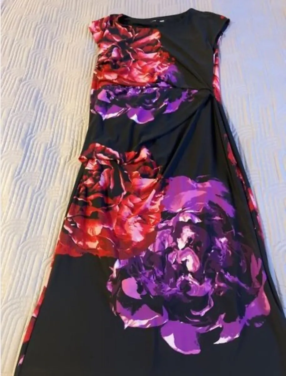 Stunning Debenhams The Collection dress Size 12 - Image 1