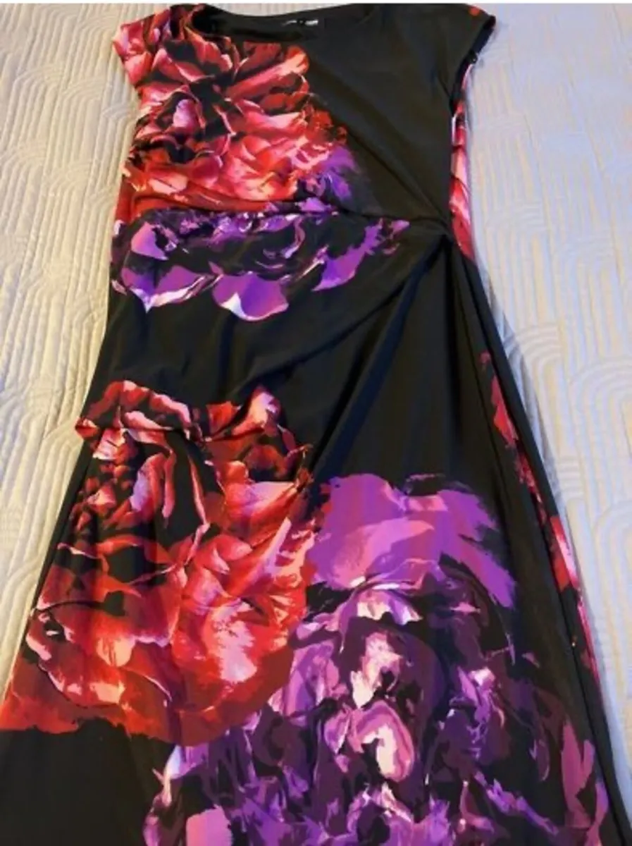 Stunning Debenhams The Collection dress Size 12 - Image 2