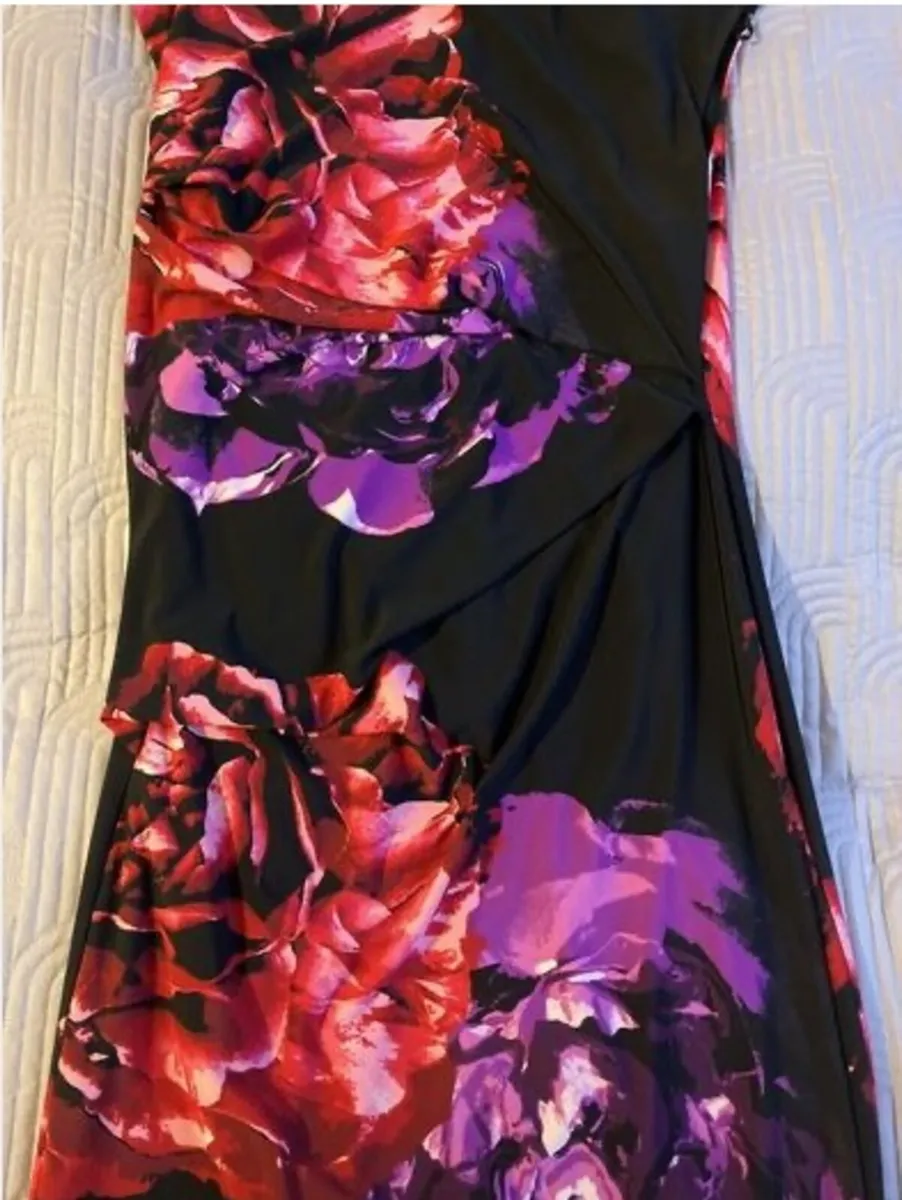 Stunning Debenhams The Collection dress Size 12 - Image 4