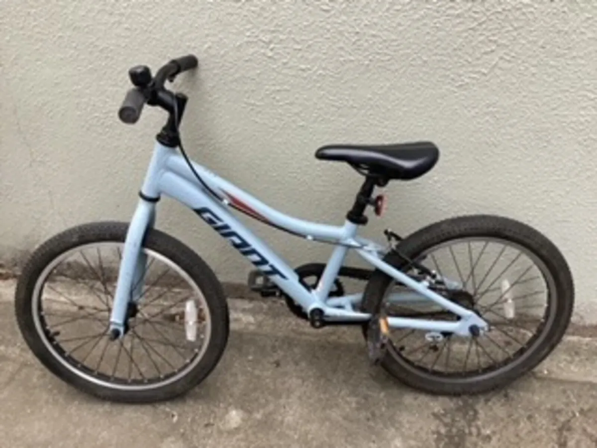Giant XTC 20 inch kids bike - Image 1