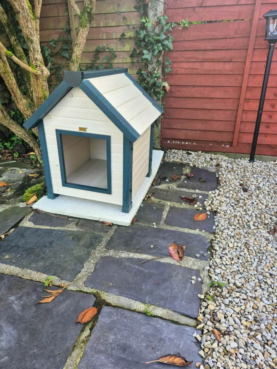 Small dog / cat 🏠 - Image 2