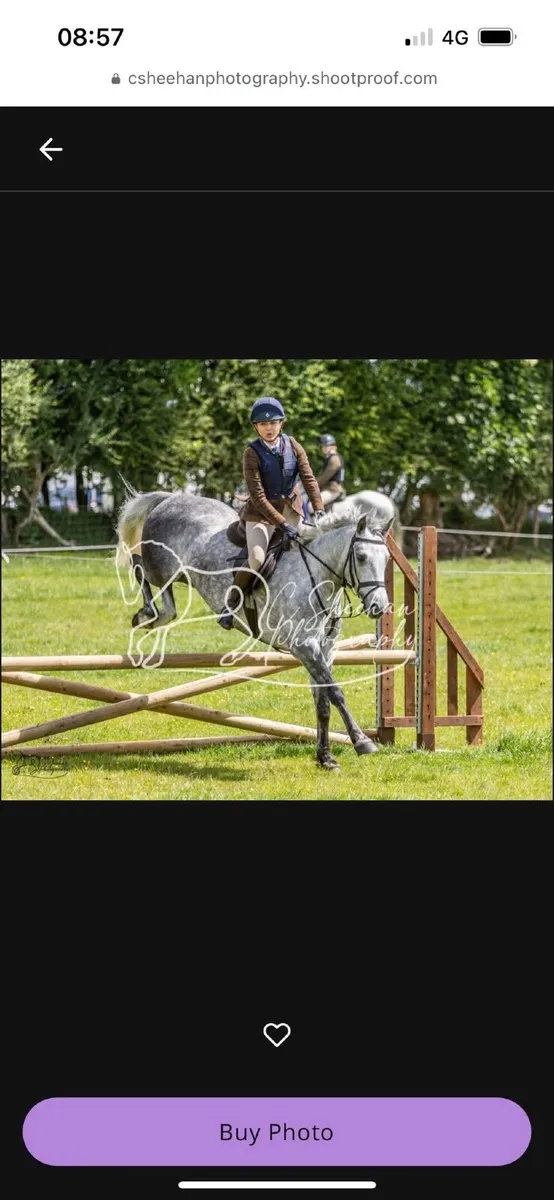 Pony - Image 2