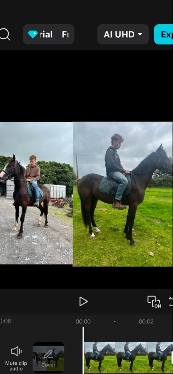 Choice of 2 - Image 1