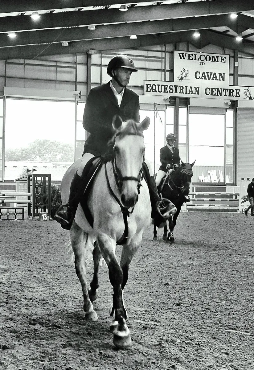 Horse