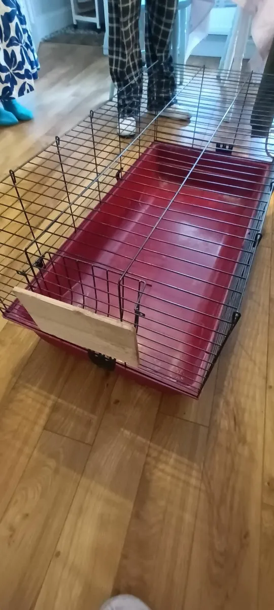 Rabbit house - Image 2