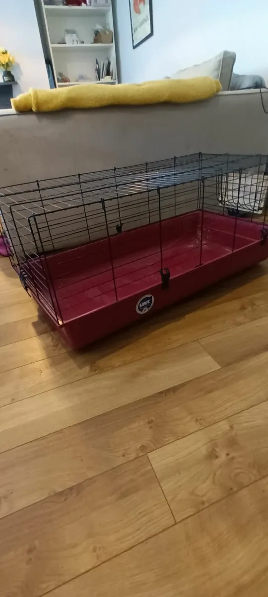 Rabbit house - Image 4