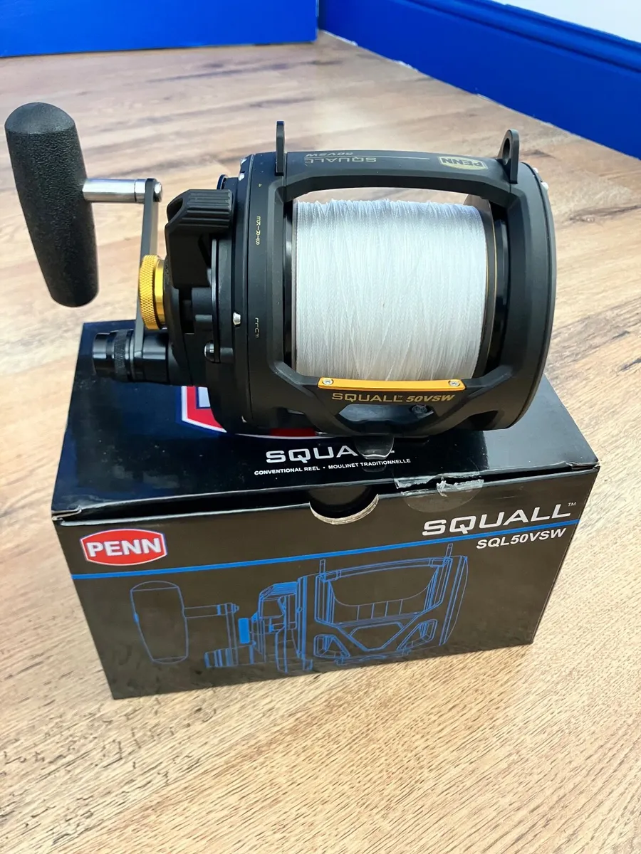 Fishing reel - Image 1