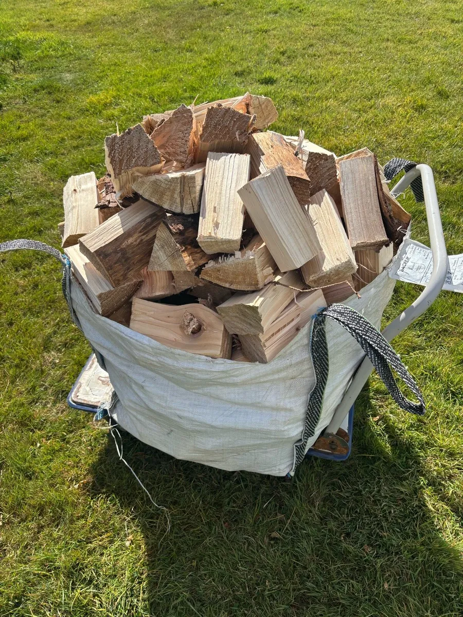 Well Seasoned Firewood - Image 1