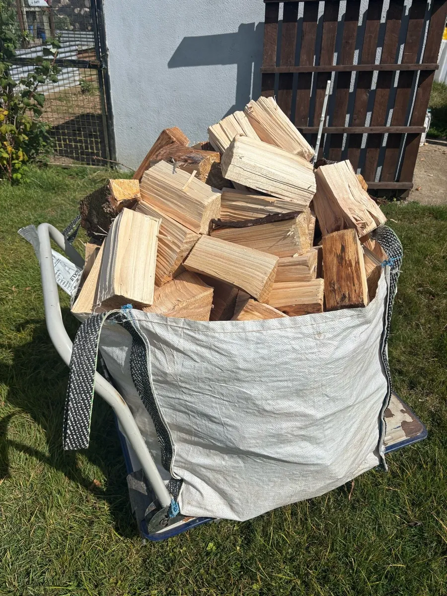 Well Seasoned Firewood - Image 2