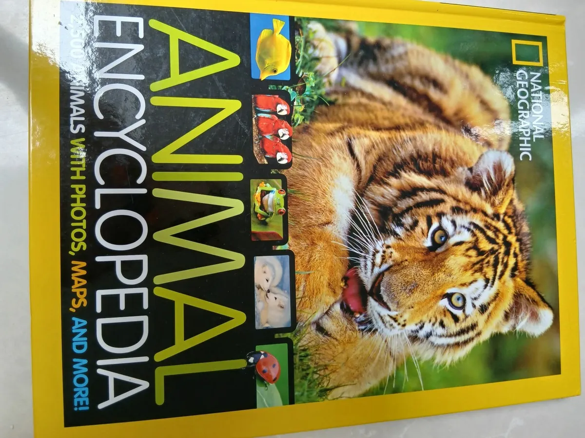 Kids books - Image 1