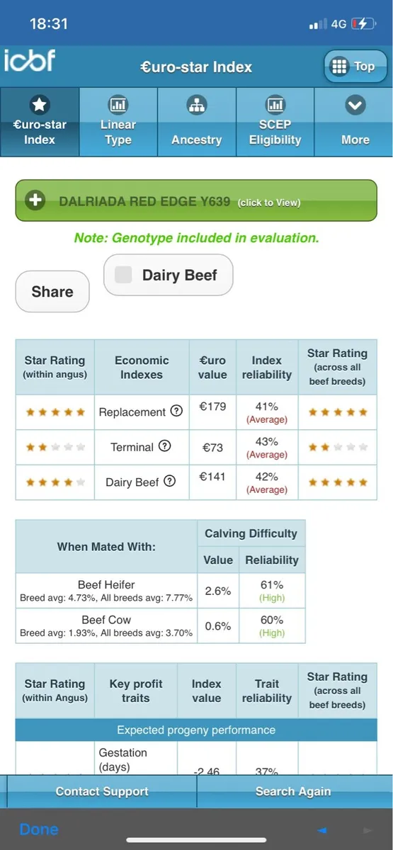 Super PBR Red AA Bull 3yrs old - Image 2