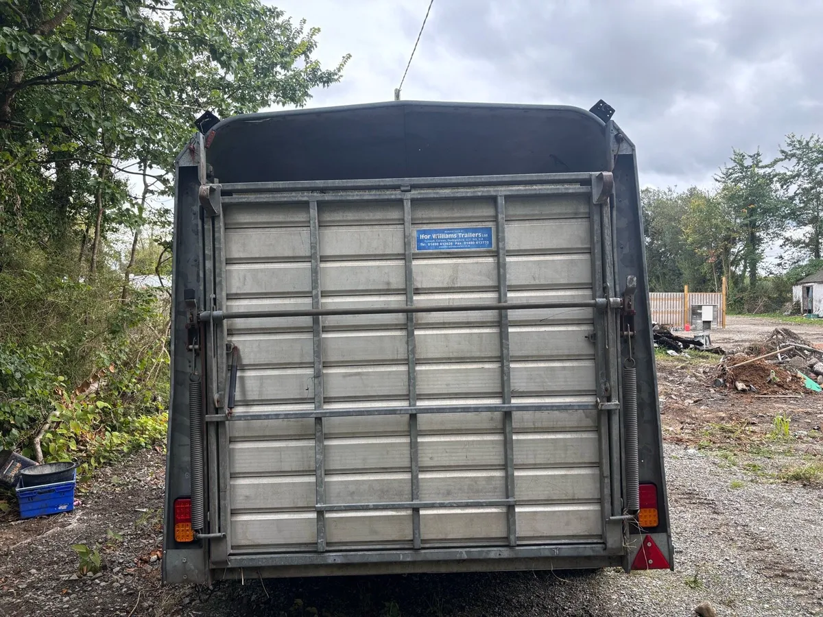 Ifor Williams Cattle Trailer - Image 4