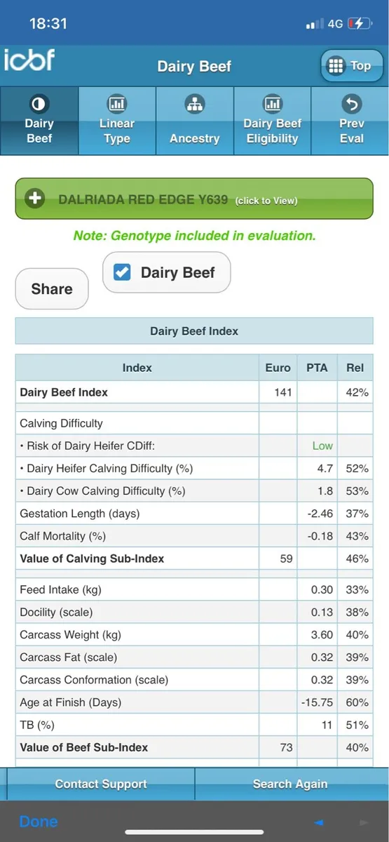 Super PBR Red AA Bull 3yrs old - Image 3