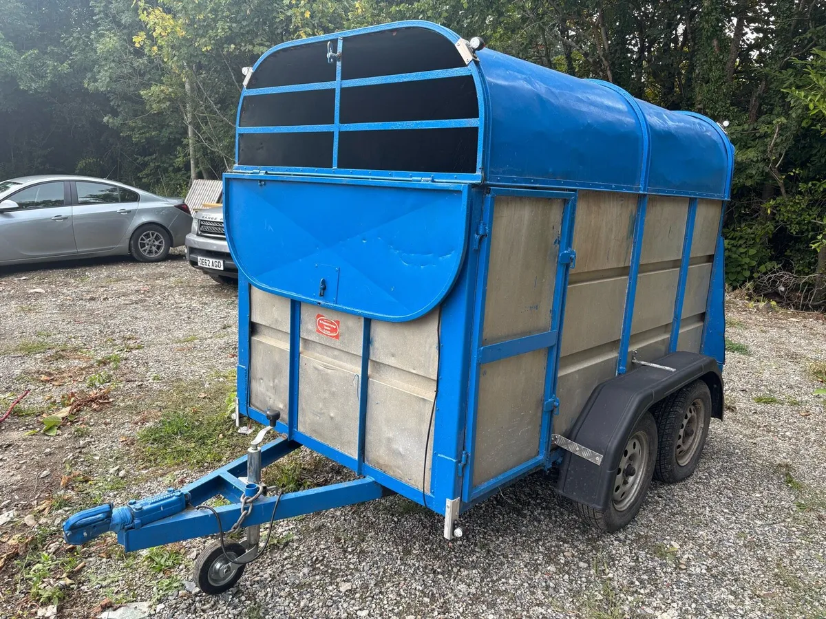 Cow trailer - Image 2