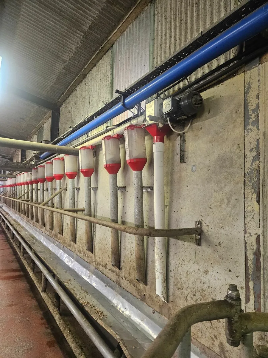 Batch Feeders - Image 2