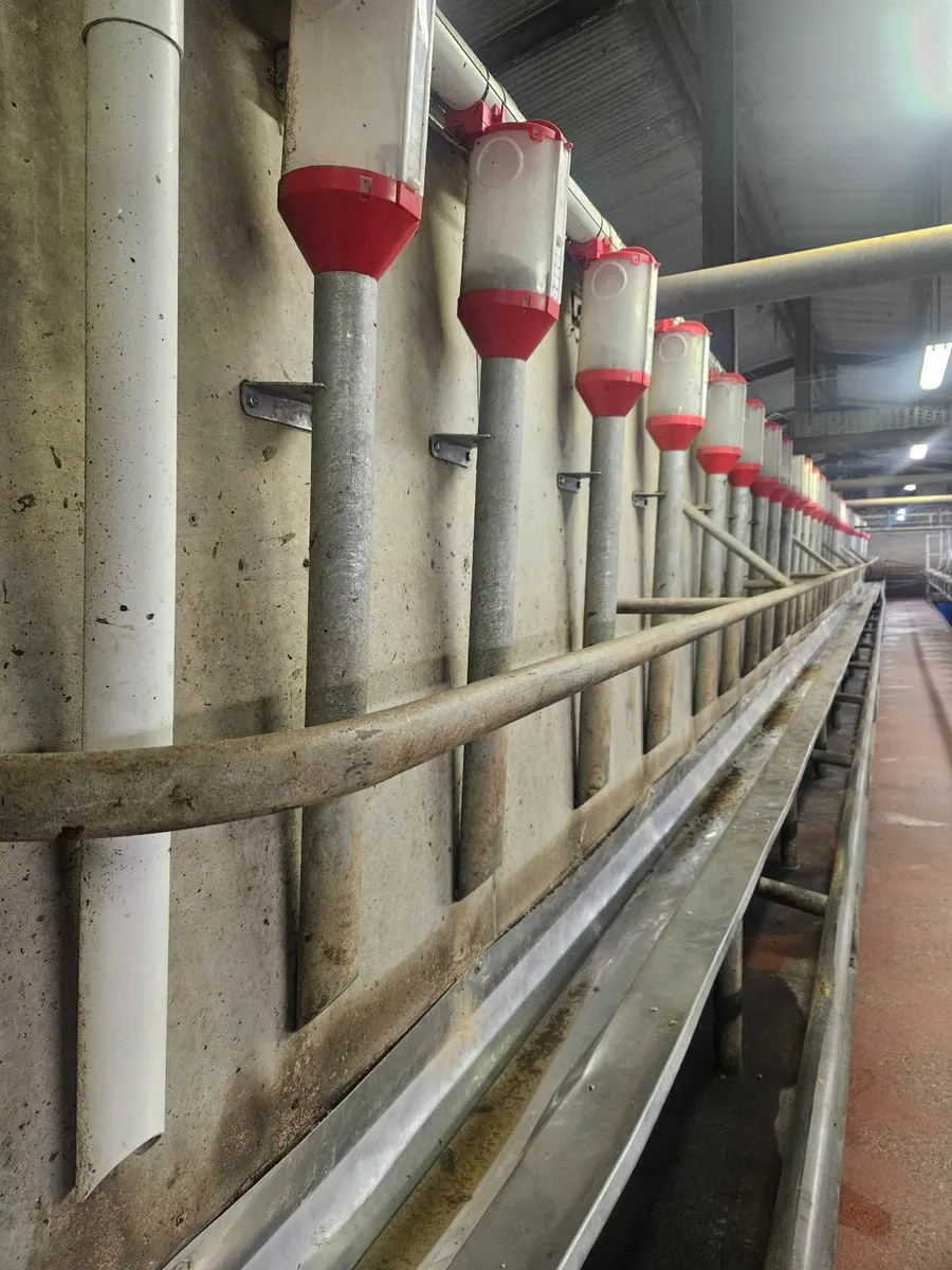 Batch Feeders - Image 1