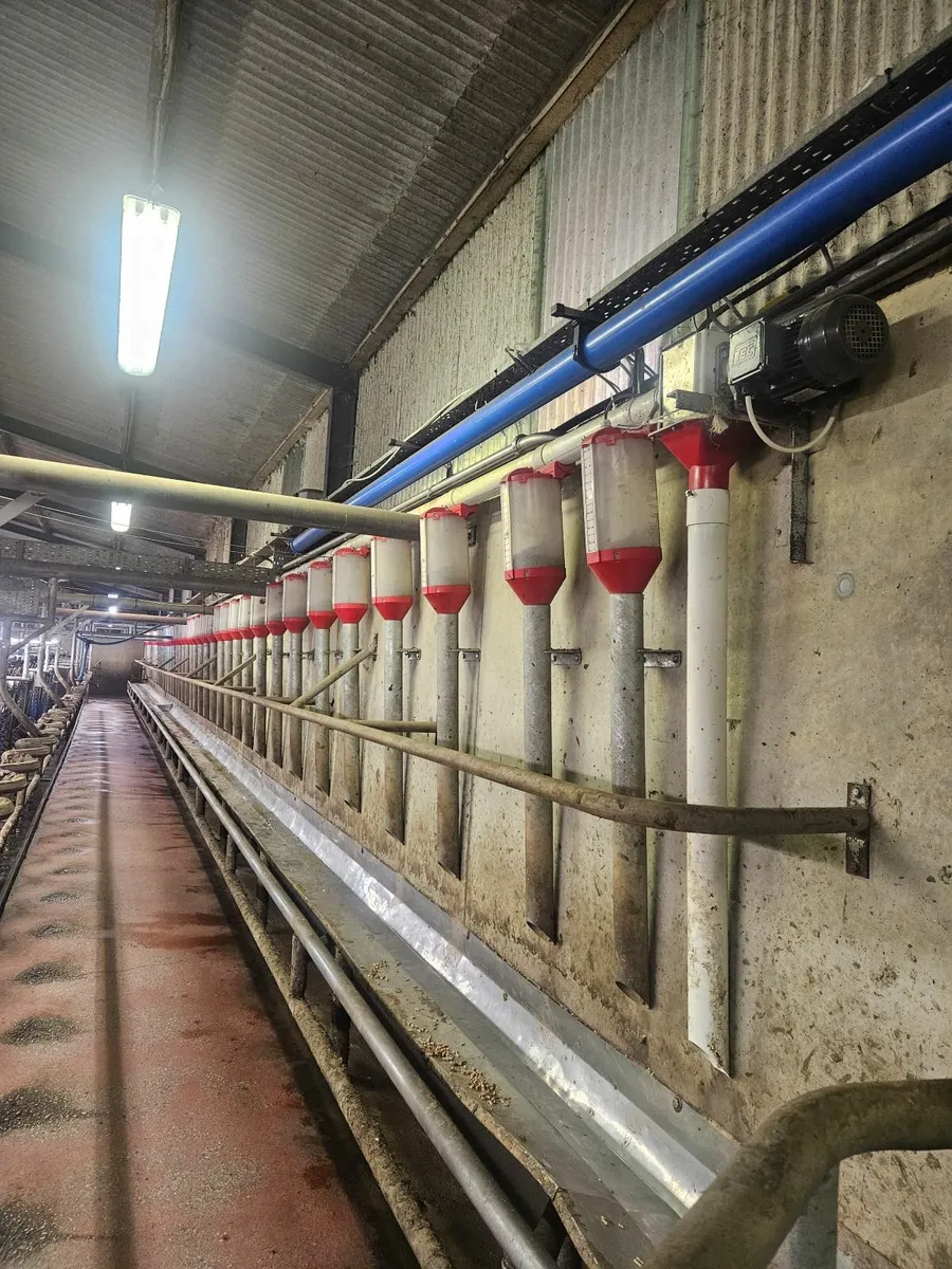 Batch Feeders - Image 3