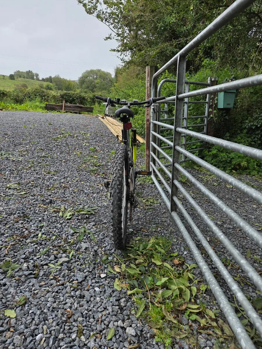Kids Bike - Image 1