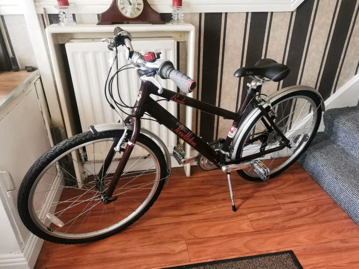 LADYS BICYCLE - Image 1