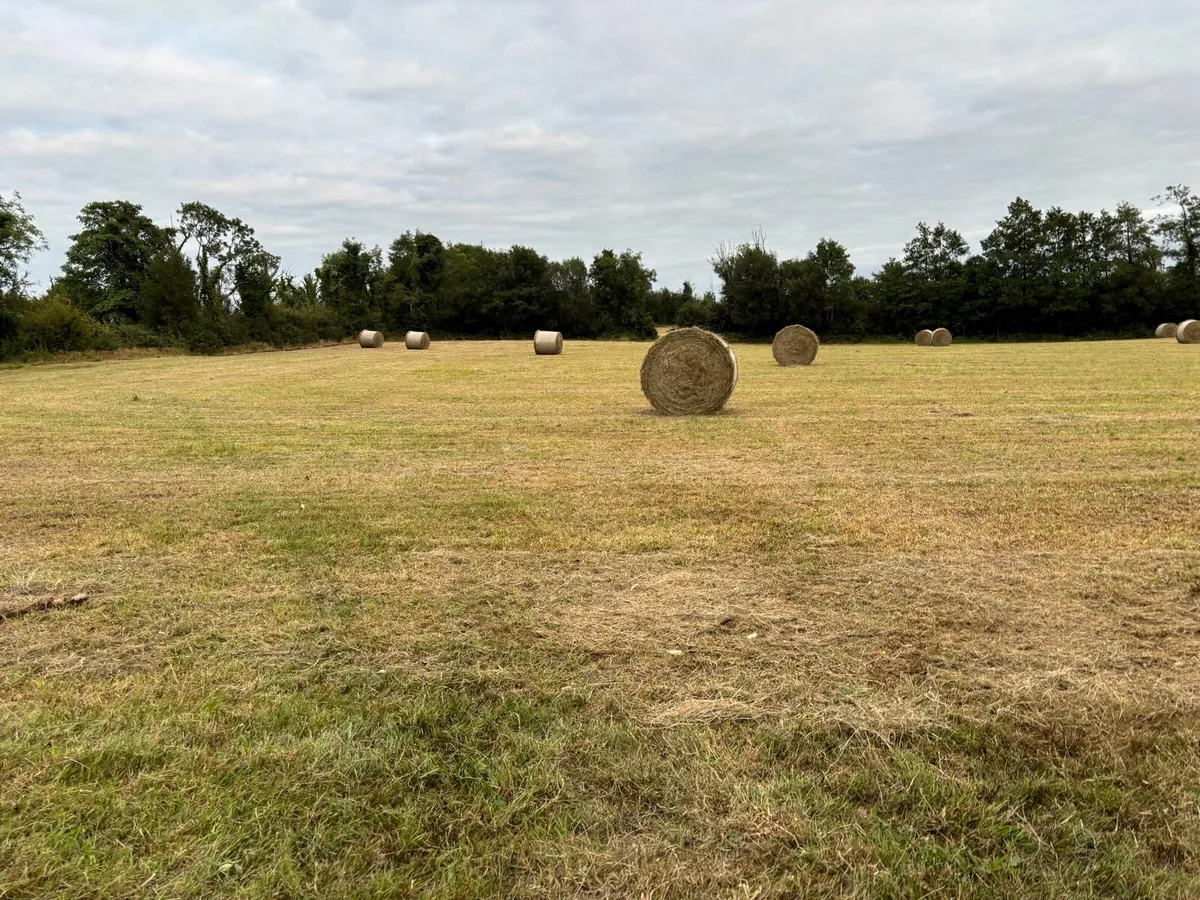 Round Bales Of Hay - Image 1