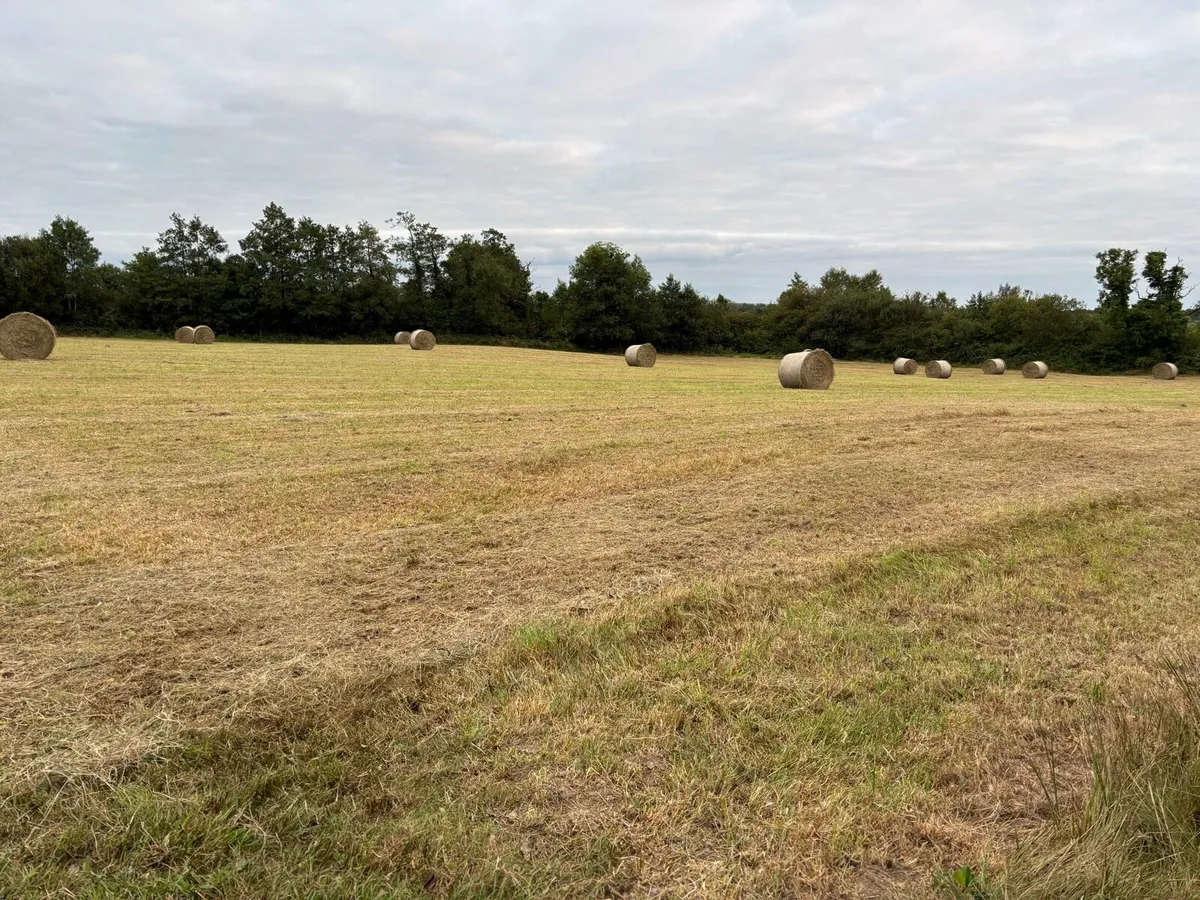 Round Bales Of Hay - Image 2