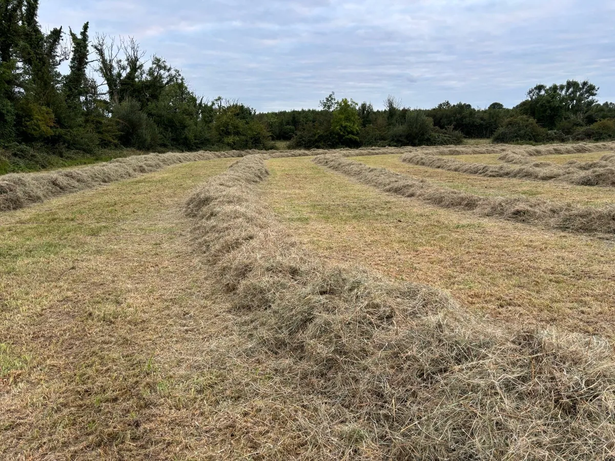 Round Bales Of Hay - Image 3