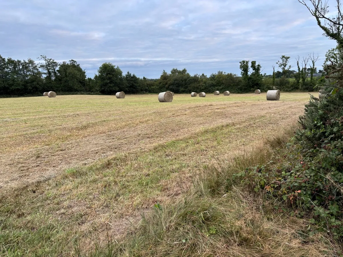 Round Bales Of Hay - Image 4