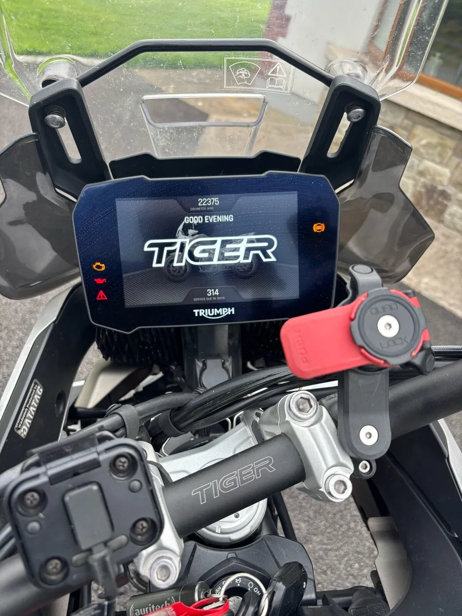 TIGER 900 RALLY PRO - Image 2