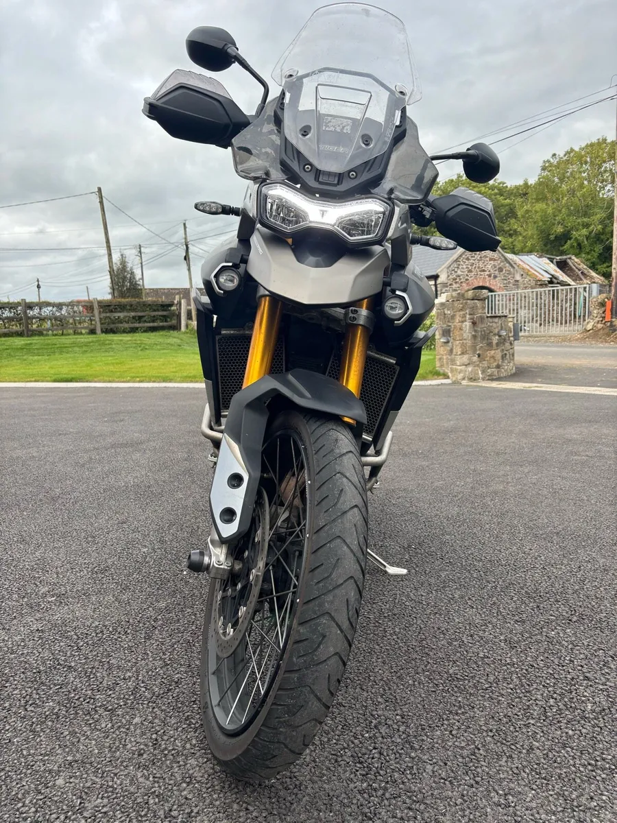 TIGER 900 RALLY PRO - Image 3