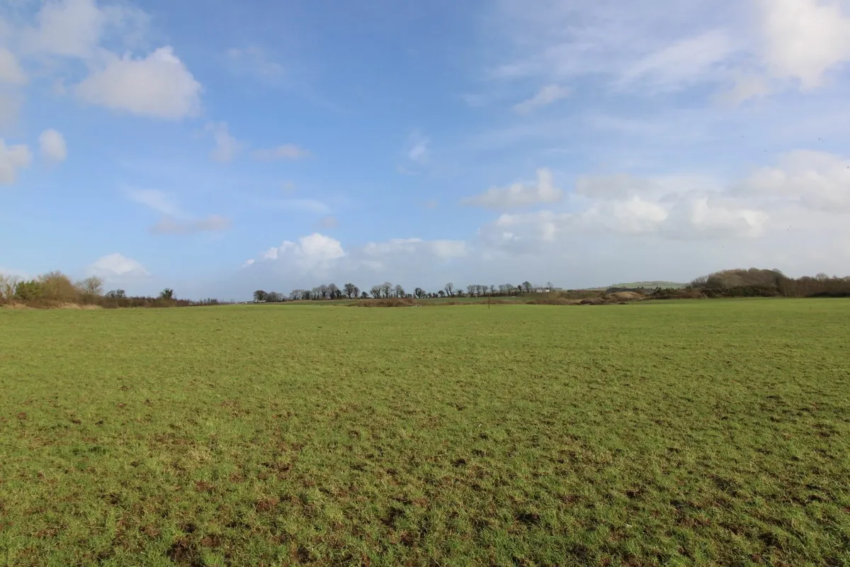 Lands - Image 3